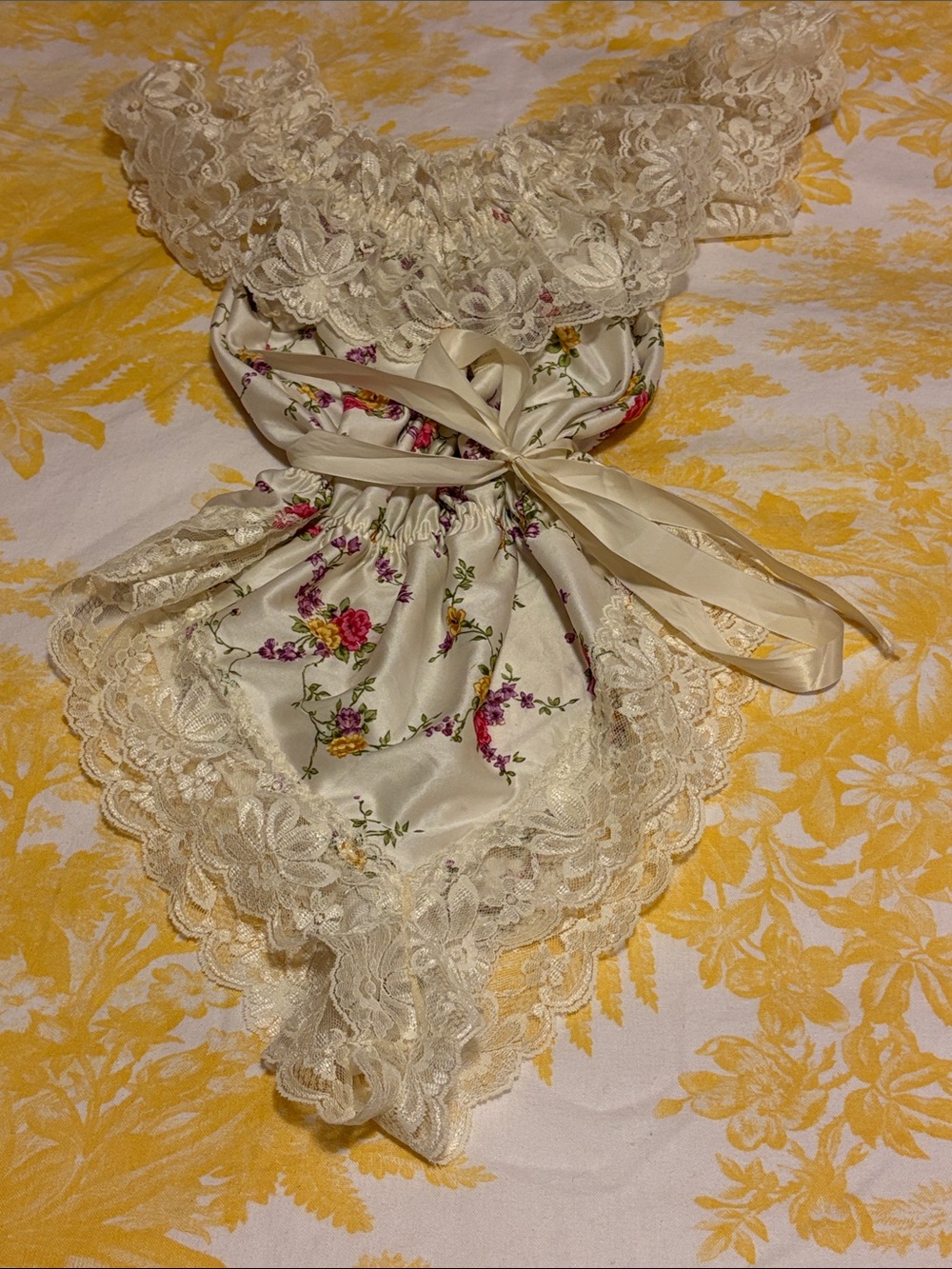 Vintage Cottagecore Boudoir Teddy